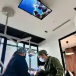 Bright, modern dental clinic with expert dentists providing top-quality care.